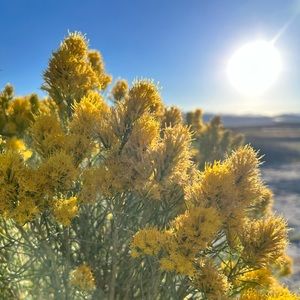 Reserved listing for L.S. 😊